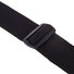 Planet Waves PWSPA200 2