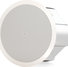 Tannoy CVS 801 4