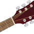 Fender FA-125 Dreadnought Walnut 6