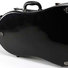 Jakob Winter CE-133-B J.W. Eastman Cello Case 2