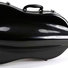 Jakob Winter CE-133-B J.W. Eastman Cello Case 1