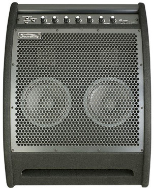 Soundking DS200 0