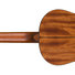 Fender ESC110 Classical 1