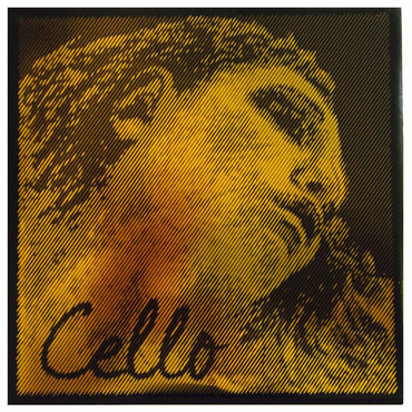 Pirastro 335020 Evah Pirazzi Gold Set Mittel 4/4 0