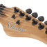 Schecter PT Pro TPB 5