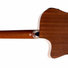 Crafter HT-100CE 1