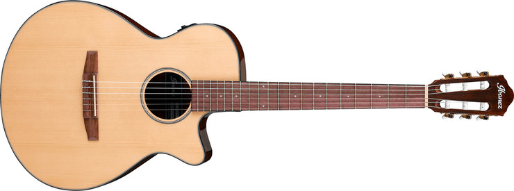 Ibanez AEG50N-NT 0