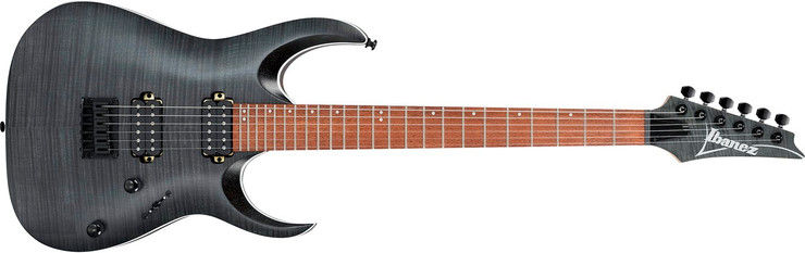 Ibanez RGA42FM-TGF Transparent Gray Flat 0
