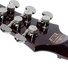 Schecter Hellraiser C-1 BCH 6