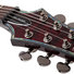 Schecter Hellraiser C-1 BCH 5