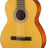 Walden N450W 1