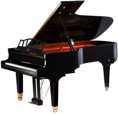 Wendl & Lung W218BK 0