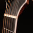 Cort Gold O8 LB 8