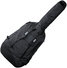 Gewa 293400 Premium Double Bass 4/4 4