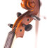 Gliga B-V155 Beginer Genial 2 Nitro 3