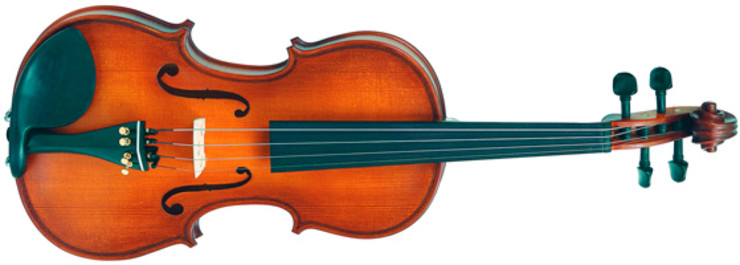 Gliga S-V044 Student Genial 1 Oil 0