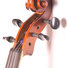 Gliga B-V165 Beginer Genial 2 Nitro 5