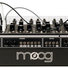 Moog Matriarch Dark 15