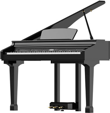 Ringway GDP1120 Black 0