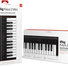 IK Multimedia iRig Keys 2 Mini 12