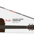 Fender CC-60S Concert All Mahogany 1