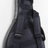 Ibanez IGB561-NB 2