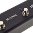 Strymon MultiSwitch Plus 8