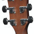 Ibanez AEWC11-DVS Dark Violin Sunburst 6