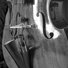 Prodipe BL21 Lanen Contrabass 2