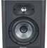 Focal Alpha 50 Evo 1