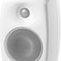 Genelec 4420AWM 5