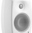 Genelec 4420AWM 1