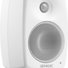 Genelec G Two BWM 4