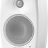 Genelec G Two BWM 2
