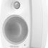 Genelec G Two BWM 1