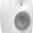 Genelec G Four AWM 2