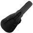 Cort Gold A6 Bocote NAT 13
