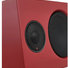 Nord Piano Monitor v2 6