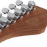 Schecter Traditional Van Nuys GNAT ASH 10