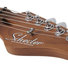 Schecter Traditional Van Nuys GNAT ASH 9