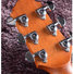 Crafter GA-8/NC 2