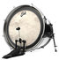 Evans EMAD Calftone Bass BD20EMADCT 2