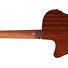 Ibanez AEGB24E-BKH Black High Gloss 3