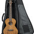 Gator GB-4G-UKE TEN Tenor Ukulele Gig Bag 3
