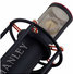 Manley Reference Cardioid Mic 6