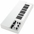 Mellotron M4000D Mini 6