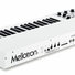 Mellotron M4000D Mini 5