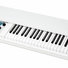 Mellotron M4000D Mini 4