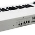 Mellotron M4000D Mini 3
