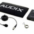 Audix ADX-10FLP 10